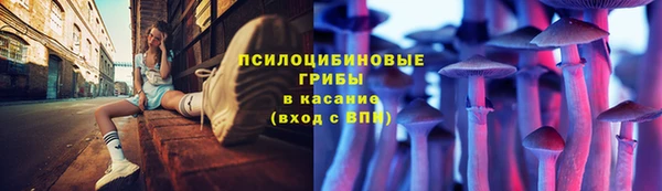 твердый Аркадак