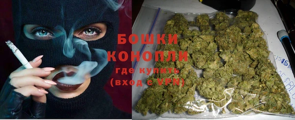 твердый Аркадак