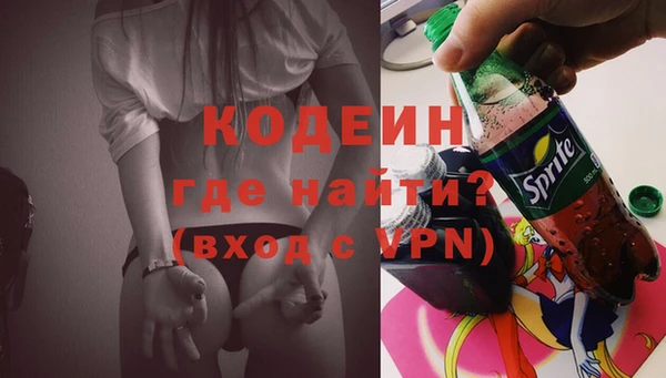 PSILOCYBIN Горняк