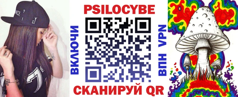 закладка  Аркадак  Галлюциногенные грибы Cubensis 