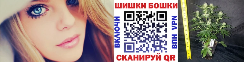 закладка  Аркадак  Бошки Шишки MAZAR 
